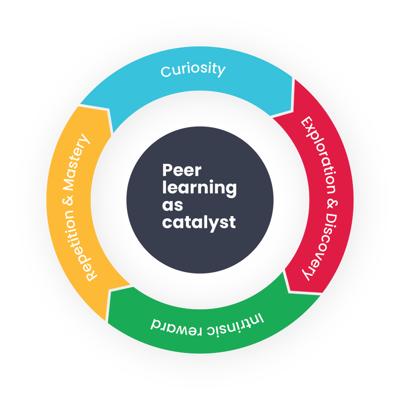 Why 5Mins Oneofakind Learning Approach 5Mins