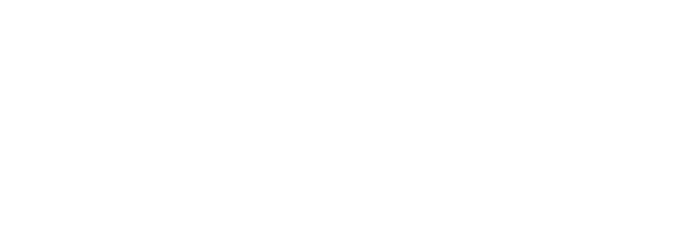 2Big Fan Collective Logo White