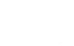 Big Fang Collective logo