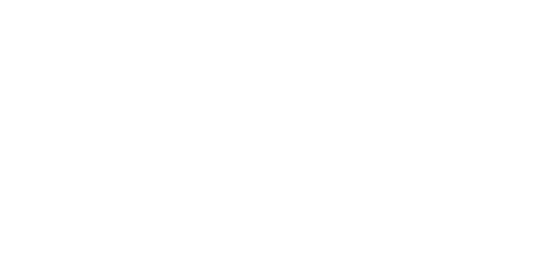 Big Fan Collective