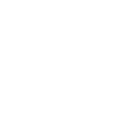 Linnk Group logo