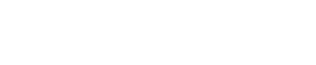 NSave Logo